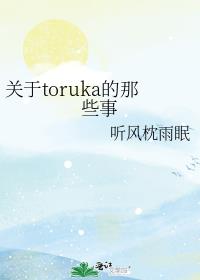 关于toruka的那些事