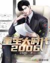 重生大时代2006