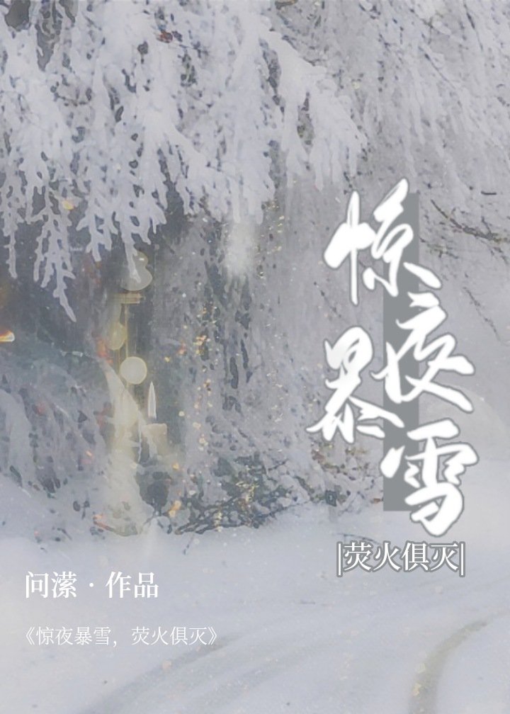 惊夜暴雪