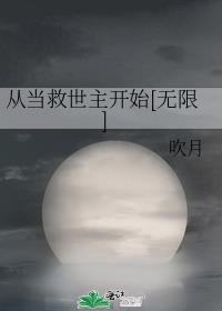 从当救世主开始[无限]