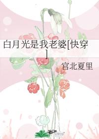 白月光是我老婆快穿