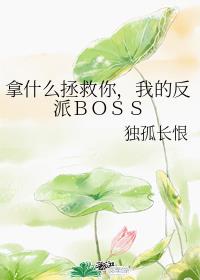 拿什么拯救你我的反派boss独孤长恨TXT