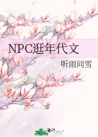 npc逛年代文22