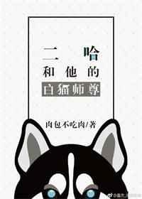 二哈和他的白猫师尊188章鲲弩小说