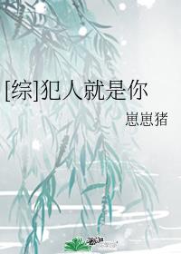 综犯人就是你贴吧