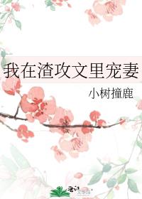 我在渣攻文里宠妻by 小树撞鹿