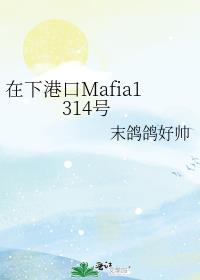 在下港口Mafia1314号