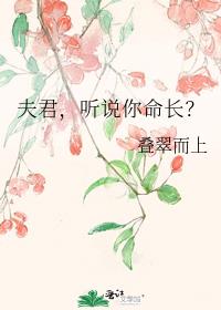 夫君还是命长好 小说