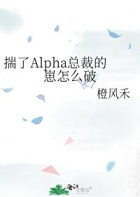 揣了Alpha总裁的崽怎么破