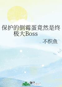 保护的倒霉蛋竟然是终极大Boss