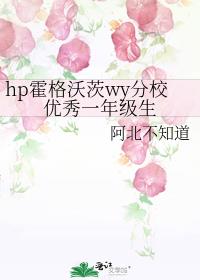 hp霍格沃茨wy分校优秀一年级生