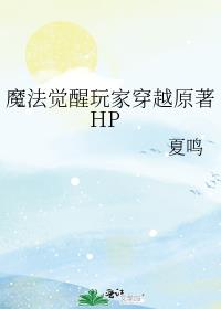 魔法觉醒玩家穿越原著HP