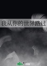 我从你的世界路过是什么歌