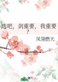 选吧，剑重要，我重要？