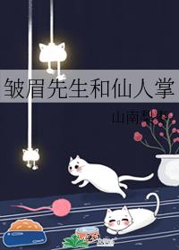 皱眉先生和仙人掌