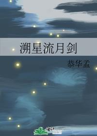 溯星流月剑