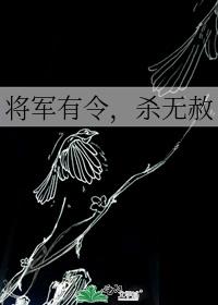 将军有令，杀无赦