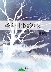 圣斗士bg短文