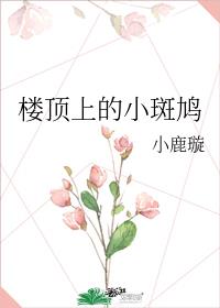 楼顶上的小斑鸠下载免费