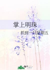 掌上明珠沙发