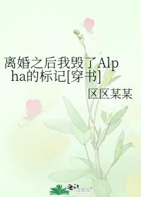 离婚之后我毁了Alpha的标记[穿书