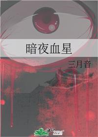 暗夜无星epub