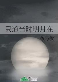 当时明月在小说完整版