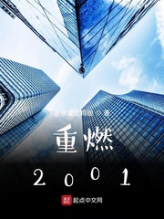 重燃2001 顶点