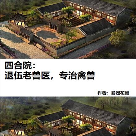 四合院：退伍老兽医，专治禽兽