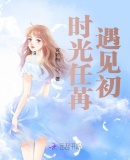 时光任苒小说