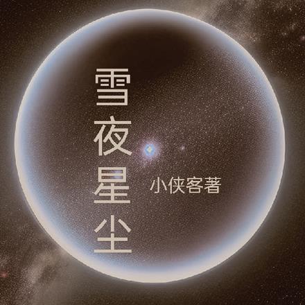 雪夜星辰