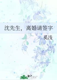 小说沈先生离婚请签字