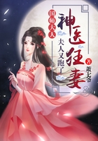 神医狂妻：国师大人，夫人又跑了