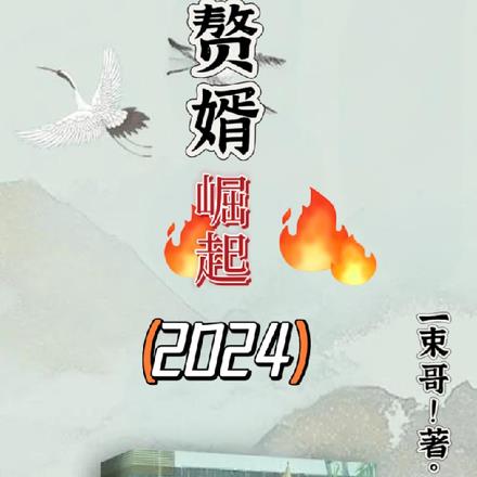 赘婿崛起2024