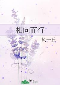 相向而行方程公式