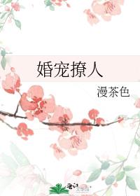 婚宠撩人军长坏坏全文txt