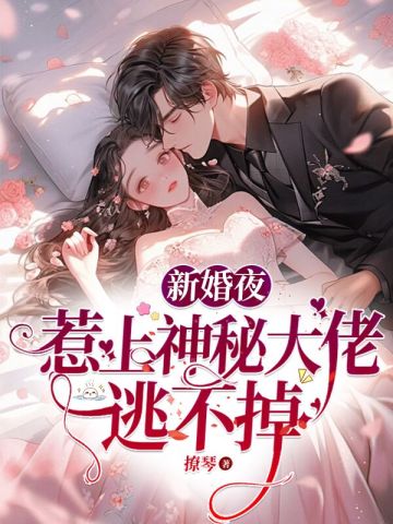 新婚夜，惹上神秘大佬逃不掉