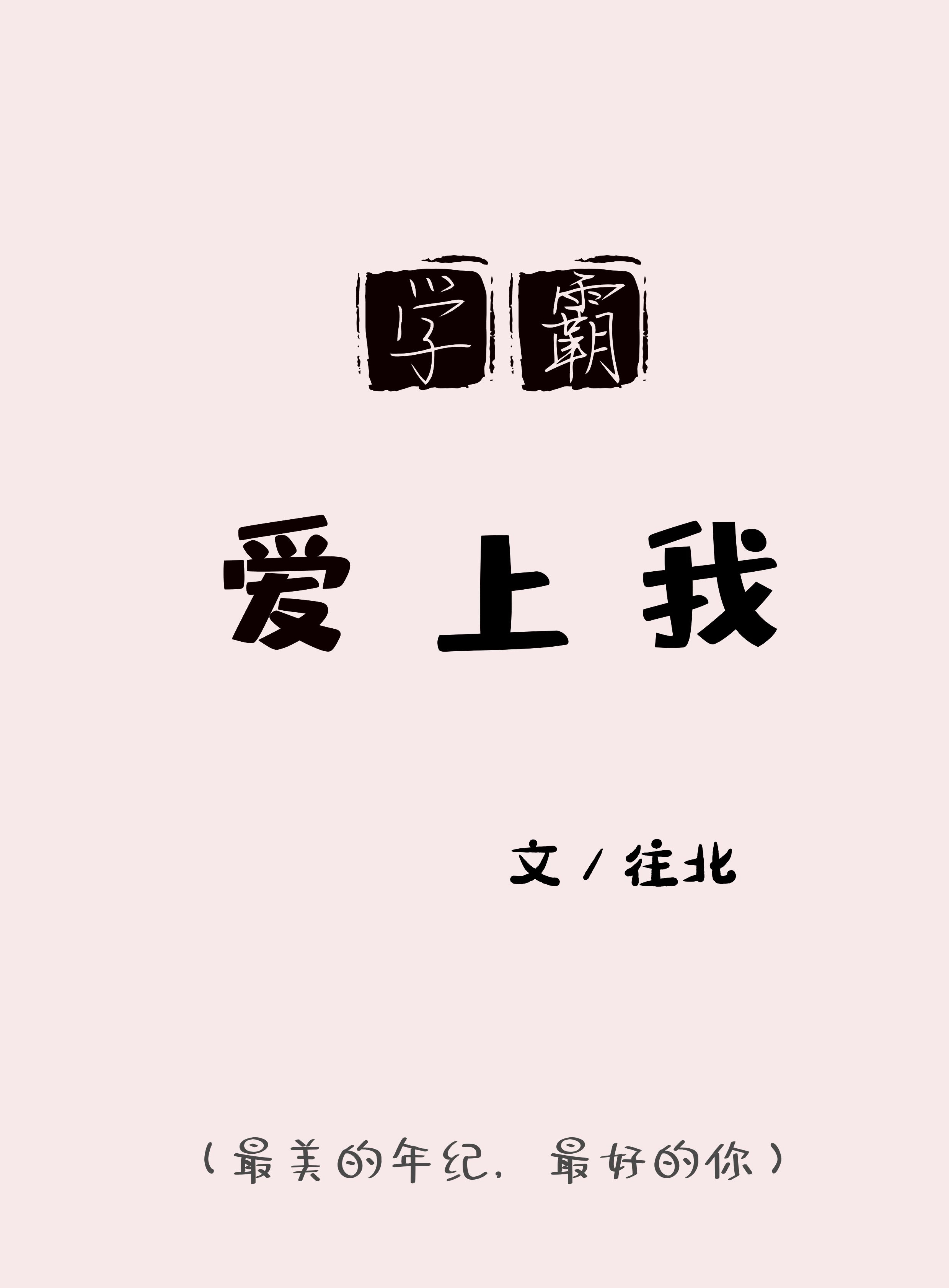 霸道学霸爱上我小说