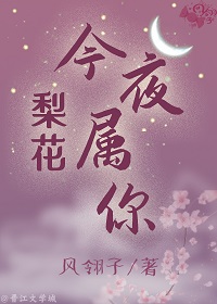 梨花今夜属你小说