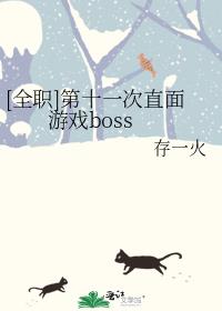 [全职]第十一次直面游戏boss