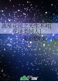 流星花园之天生不对[花泽类同人]