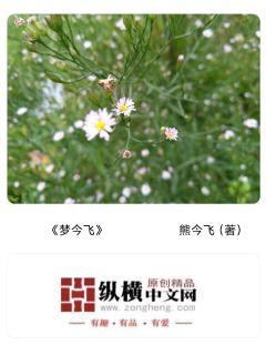 梦今飞