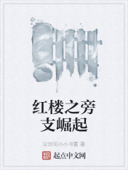 红楼之旁支崛起起点